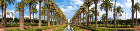 Vakantie naar Casablanca