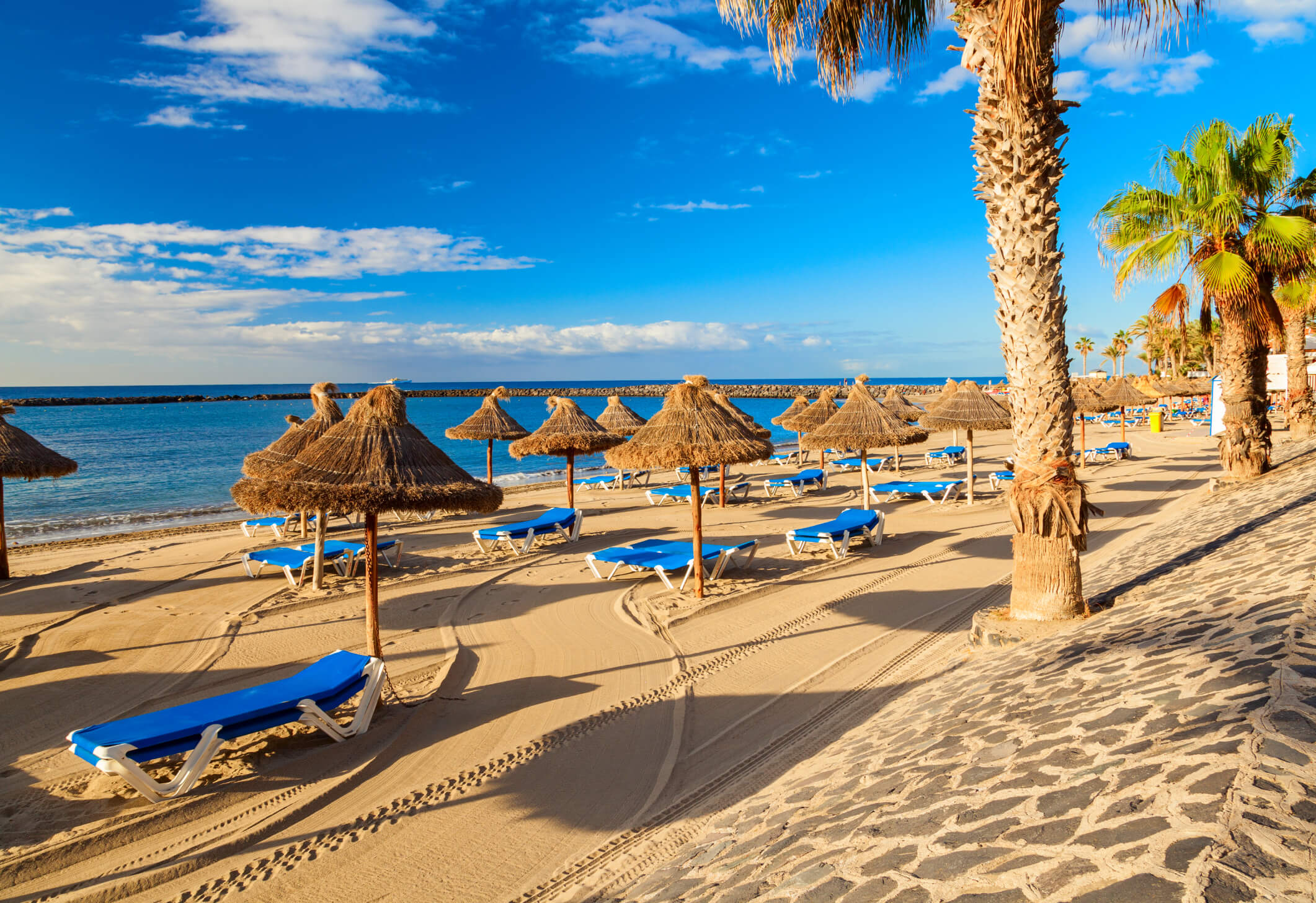 Vakantie boeken naar Los Cristianos