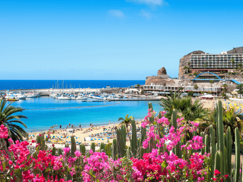 Vakantie naar Puerto Rico
