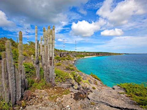 Vakantie Bonaire