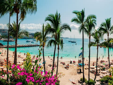 Last minute vakantie naar de Canarische Eilanden