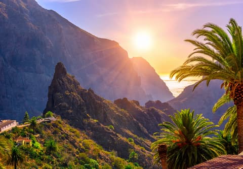 Gran Canaria of Tenerife: welk eiland is het leukste?