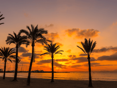 Vakantie naar El Arenal