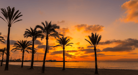 Vakantie naar El Arenal