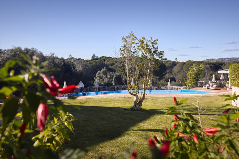 Longevity Cegonha Country Club