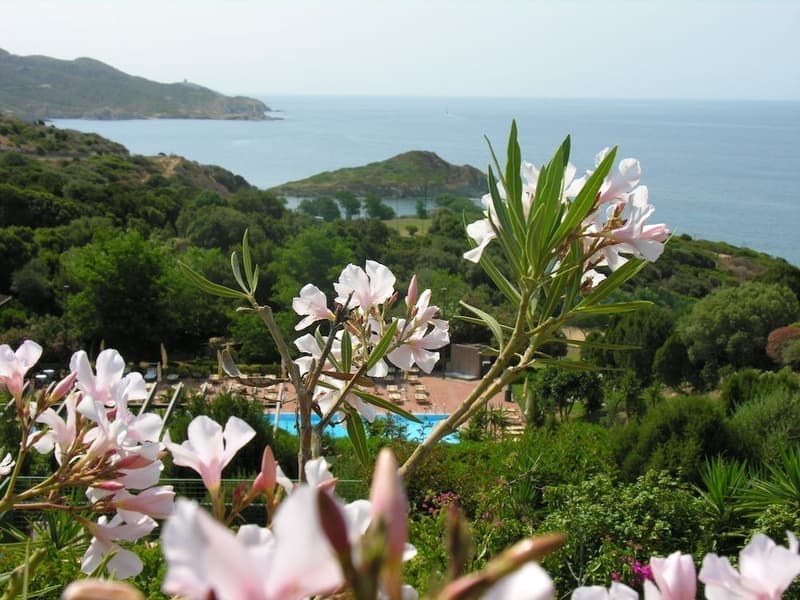 Baia Delle Ginestre