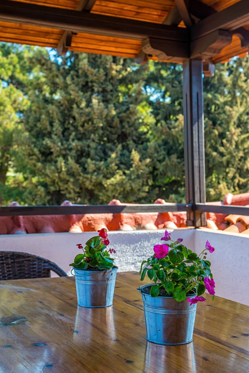 Georgalas Sun Beach Villa