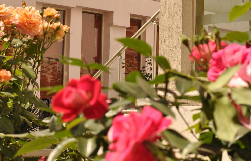 Theranda Hotel