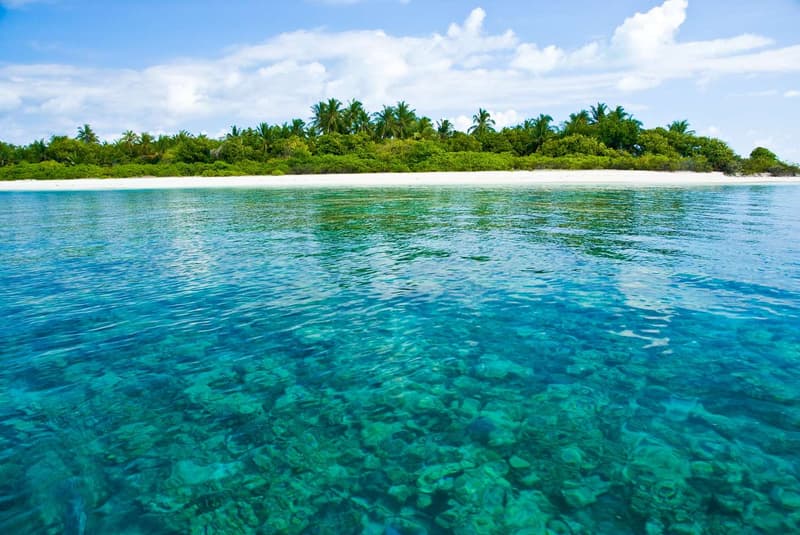 Coco Palm Dhuni Kolhu