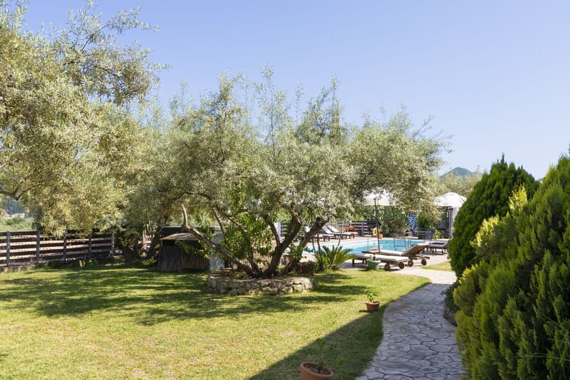 Golden Sun Villas