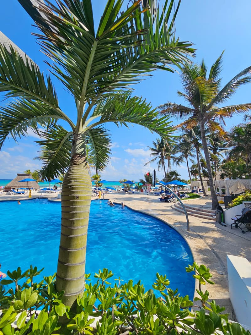 The Reef Playacar