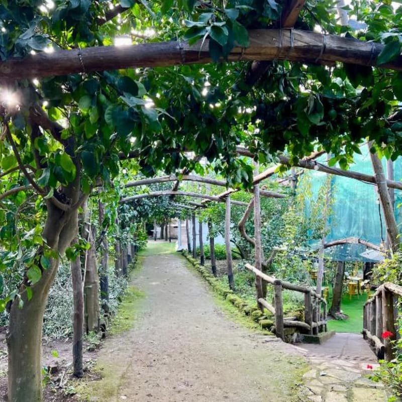 Relais Correale Rooms & Garden