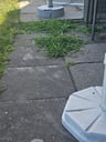 Niet best-0d539854-6e4e-484c-85b6-ad7577baee5f