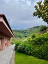 Verblijf met beste uitzicht over de Douro Vallei -0f9815ad-0234-483d-924b-0934dcc4a288