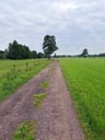 Super weekend op minicamping het Hazenpad-146c934b-1cf6-483d-ab27-303b8a1656cf