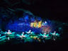 Fantastische vakantie -161de234-5712-4c0c-9ccc-4e814c588818