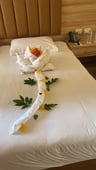 Super leuk hotel-17357429-84cd-4467-a612-ffc6cf1d8c38