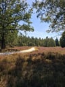 Vakantie in Drenthe.-1867239d-0184-49e0-a2b8-fc0b0779edc2