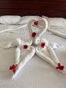 Een super leuk kleinschalig huis.-1ce08435-ab56-4b4f-abc0-36cbd74fd50d
