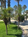 Fantastic stay ! -2cbeef88-8fee-4ed9-8dd7-fb2ffc41bc6f