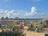 Mangrove beach -30a753b7-641f-47bc-9b59-1f28482b4027
