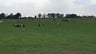 Top Camping en Lieve Eigenaars -38df38c9-be68-476d-a44c-67f03b285755