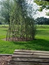 Camping -3905c66c-6184-420a-9f9c-f11adccc17da