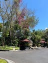 Droom vakantie -3ad1edf0-982b-4072-b727-63614abe831f