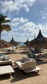 🌴 Een fantastische vakantie op Bonaire -3dd49bc3-5f1f-43b9-aa03-3c84c021f41f