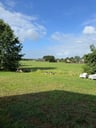 Genieten bij de Beddestee-3ff1fd67-8761-4418-ab8b-47984be6a43c