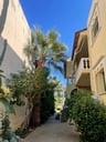 Fantastische vakantie gehad!-44bd6fdf-fe3a-4803-bc85-01caf1cdfba6