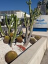 Prachtig hotel met zeer goede service-53f54240-94b5-49c7-aa86-2817d7964d8c