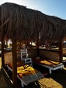 Absolute aanrader-69fb4d29-6d50-4790-80f4-5cdab5764aed