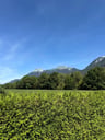 Paraglide view en fijne camping -6c4891c9-1915-4f42-b234-ed0a5cccfe1f