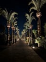 1 van de beste hotels van Turkije! -7805e6a8-0cf9-4116-955f-e02cd87bfadd