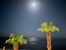 Top hotel-7d1c1014-bd01-4e7d-b3ad-08c569a996e3