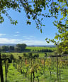  ideaal om het mooie landschap te verkennen -7dc4d801-58ec-4f96-b370-0a986114832f