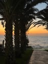     Perfecte uitvalsbasis om Cyprus te ontdekken-7f199e28-2f98-468b-b7a0-6b3dec4a09ae