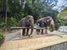Geweldige 17 dagen Rawai-843448e7-0570-4b06-bb07-c43f0aca942b