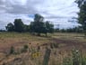 Vakantie in Drenthe.-8a8f5655-0dc9-4b3f-948a-4ad9ca117c27