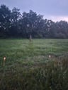 Mega aanrader! Fijne en relaxte camping!-8d3b79a2-1942-47b0-83e1-6812cdd69b07