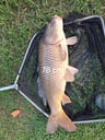 Top camping -96007393-27a7-4076-a013-3bc0759d094d
