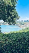 Great Holiday -979db590-1570-4bfc-8098-bd5200a3b760