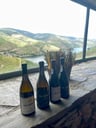 Verblijf met beste uitzicht over de Douro Vallei -a03e3fa1-e63d-4d4c-a9f3-62e43f8436be