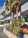 Prima hotel met uitstekende ligging-a42ee003-a7d4-4c5f-8206-11fd32498fbe