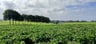 Fijne kleinschalige B&B in authentieke Hoeve ...-a58b06a3-66bf-4409-a6a1-f70b6abb11cd