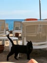 Dreams in turkey-a8886032-5978-4ca7-b994-79f157af7e0c