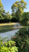 Geweldige camping-aaf40ff8-eb55-4866-83d2-6770b2cbfa8f