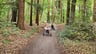 Camping Norgerberg, grote aanrader!-ad3d4c8e-1529-467e-83b8-210c0d672e68