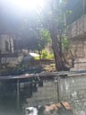 Kamer-b1db32bf-8f3e-4572-87a6-3fb33e9bc461